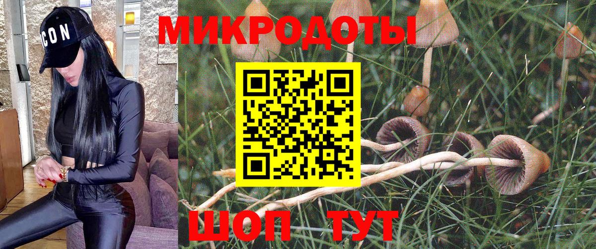 Псилоцибиновые грибы Cubensis  Псилоцибиновые грибы Psilocybe  Вход с VPN  Магнитогорск 